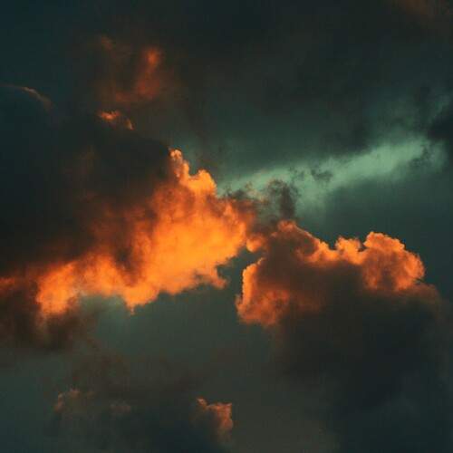Photo #13114953