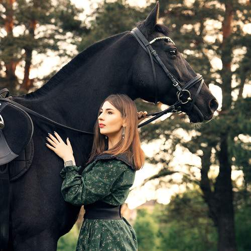 Photo #13114985