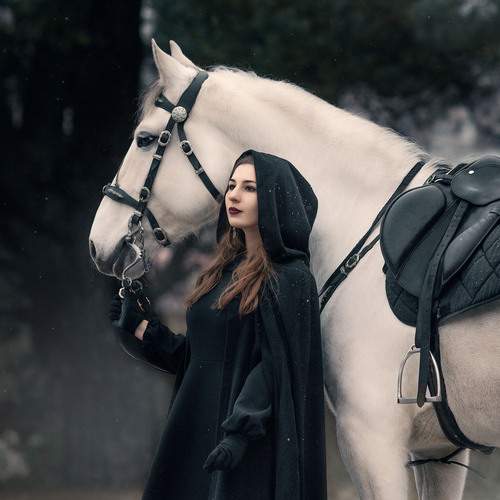 Photo #13114986