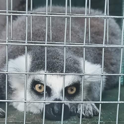 Фотография #13115089