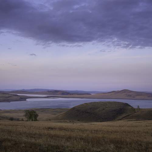 Photo #13115145