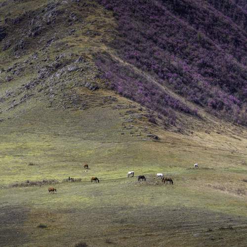 Photo #13115210