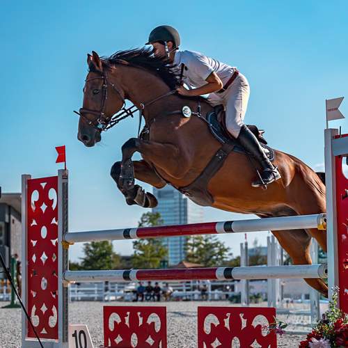 Фотография #13115343