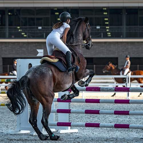 Фотография #13115344