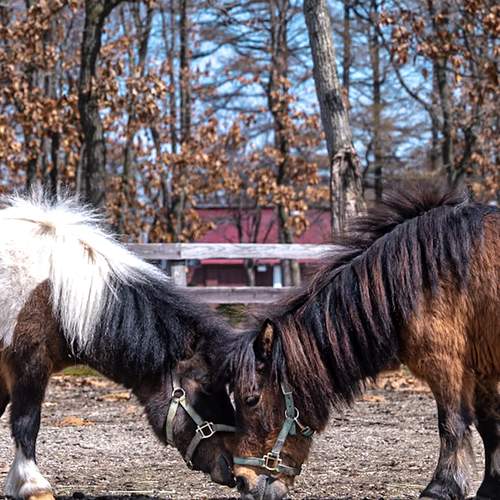 Фотография #13115345