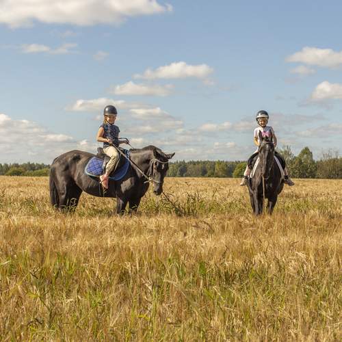 Photo #13115426