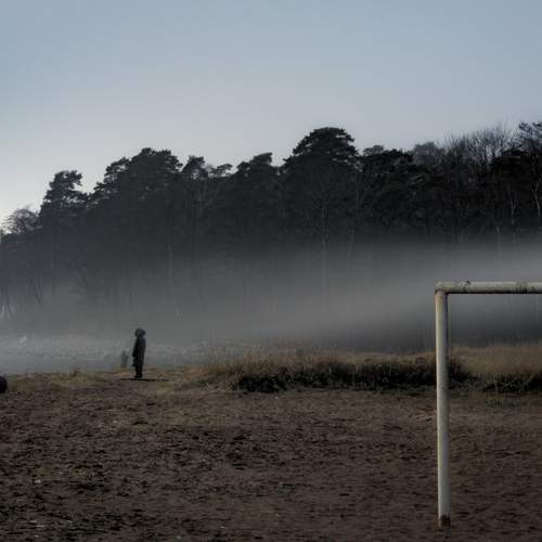 Photo #13115447
