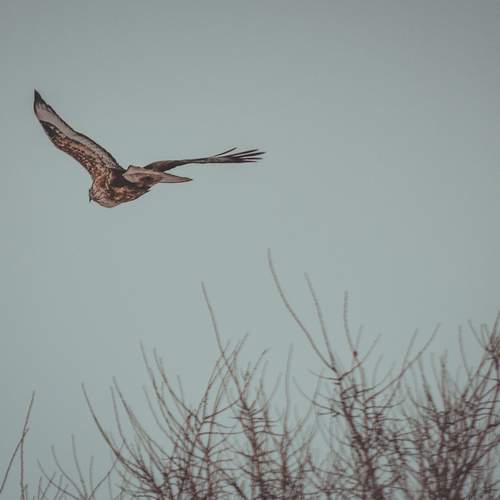 Photo #13115591