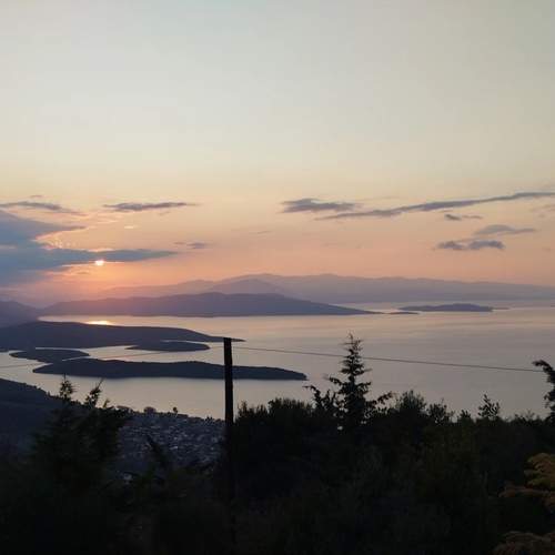 Photo #13115640