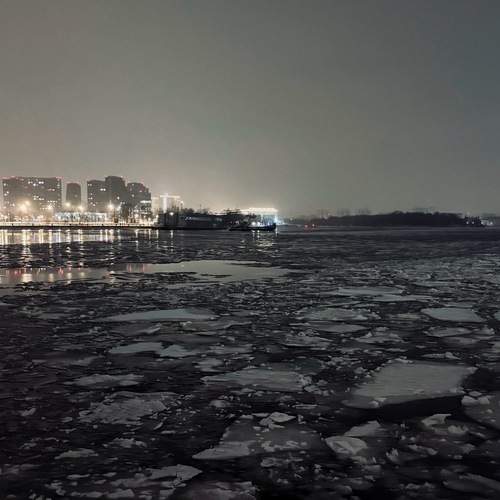 Photo #13115742