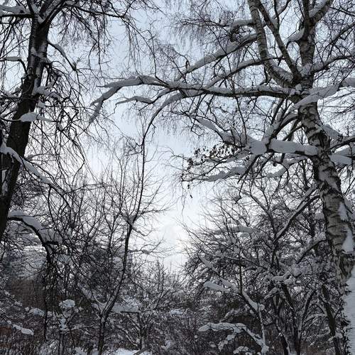 Photo #13115743