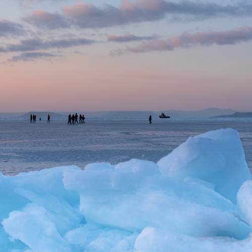 Photo #13115766