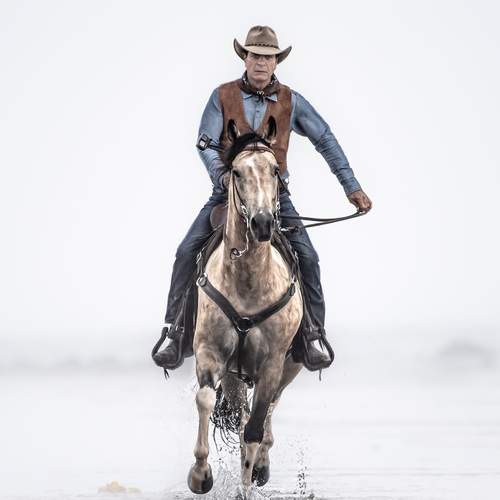 Between Command and Trust