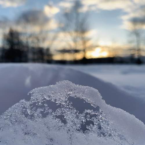 Photo #13115788
