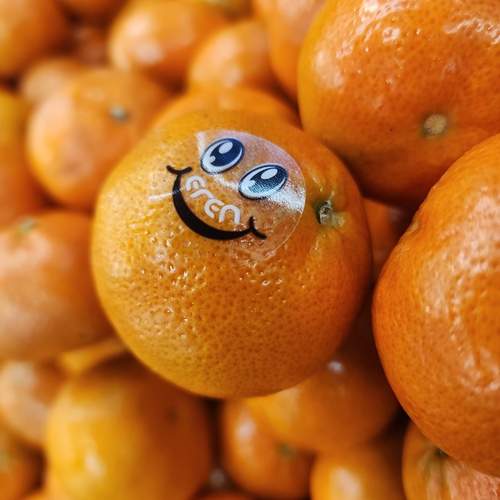 Photo #13115896