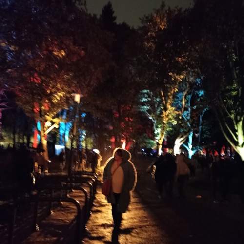 Photo #13116108