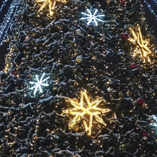Photo #13116167