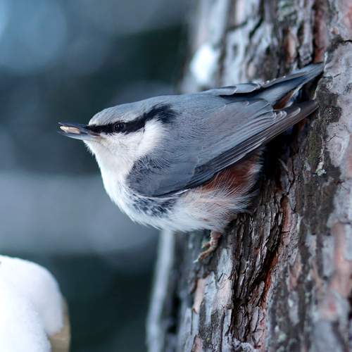 Photo #13116352