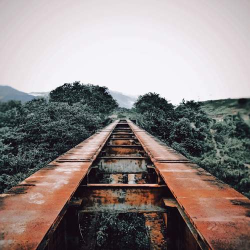 Photo #13116388