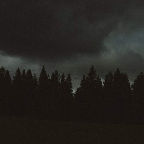 Photo #13116404