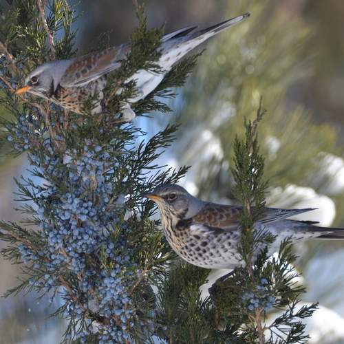 Photo #13116637