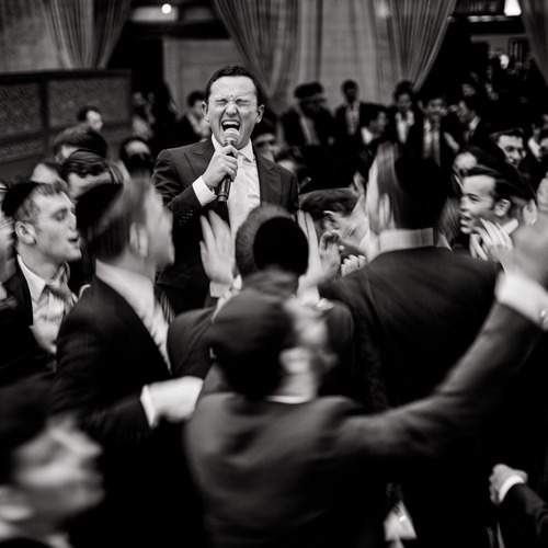 Photo #13116695