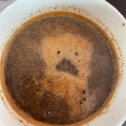 Фотография #13116868