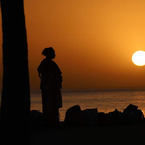 Photo #13116932