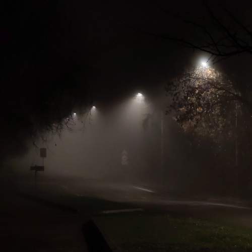 Photo #13116973