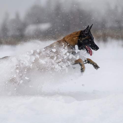 Photo #13116985