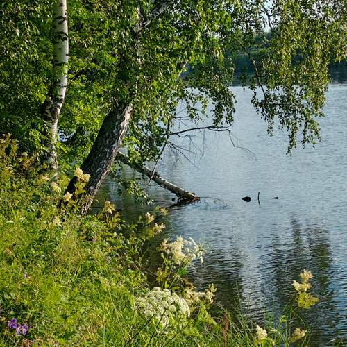Photo #13117020