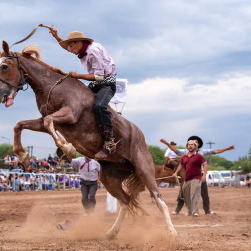 Фотография #13117032