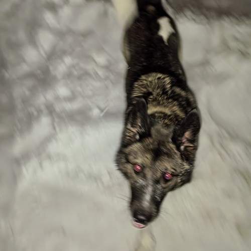 Photo #13117163