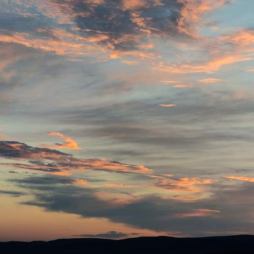 Photo #13117224