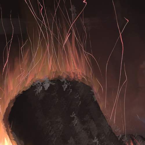 Photo #13117310