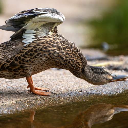 Разминка перед полётом