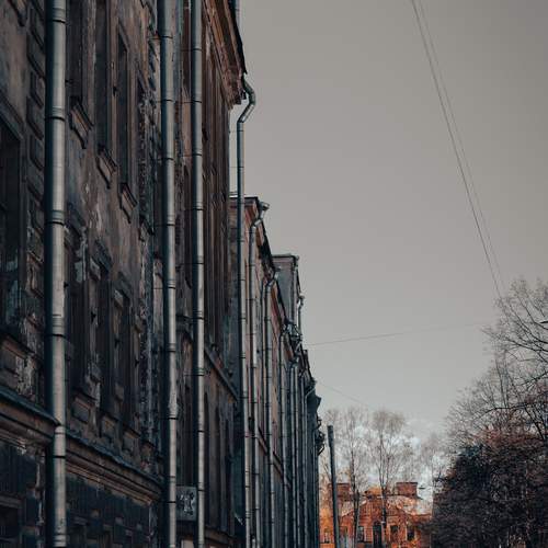 Photo #13117398