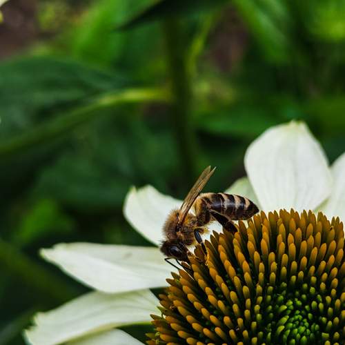 Photo #13117533