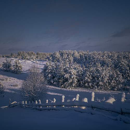 Photo #13117544