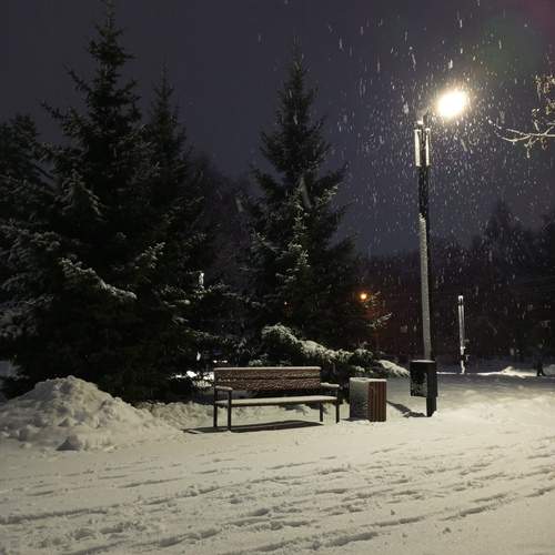 Photo #13117547