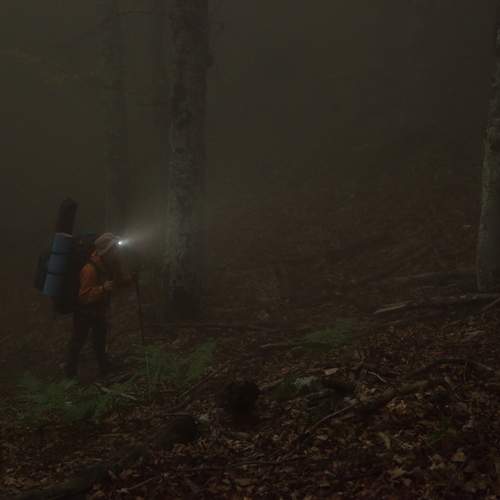 Photo #13117553