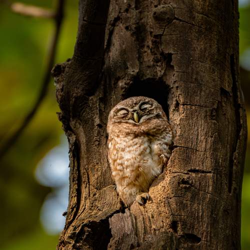 Photo #13117684