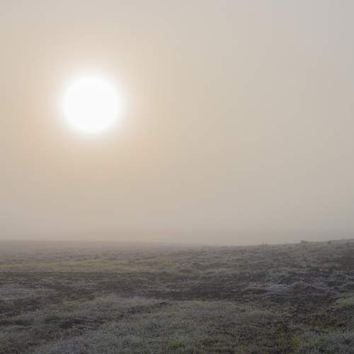 Photo #13117792