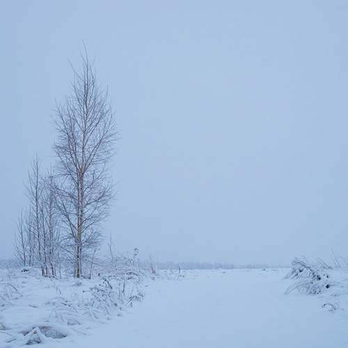 Photo #13117797