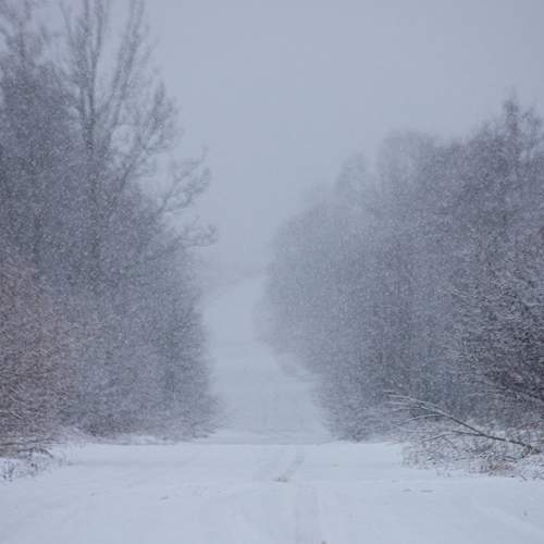 Photo #13117799
