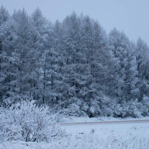 Photo #13117802