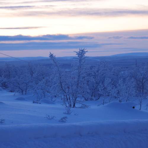 Photo #13117848