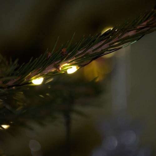 Photo #13118056