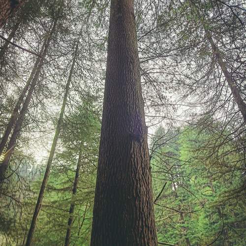 Photo #13118189