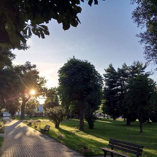 Photo #13118271